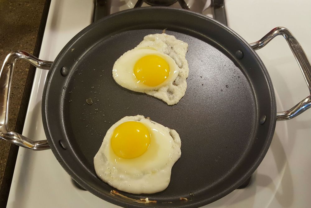 20160422_111641_resized